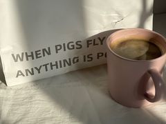-WHEN PIGS FLY当猪飞
