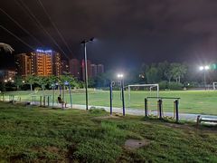 -金鸡岭桥头公园