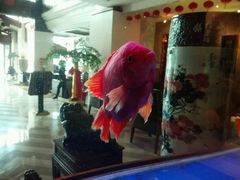 -山水温泉