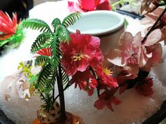 -探窝·竹笙椰子鸡(杨箕店)