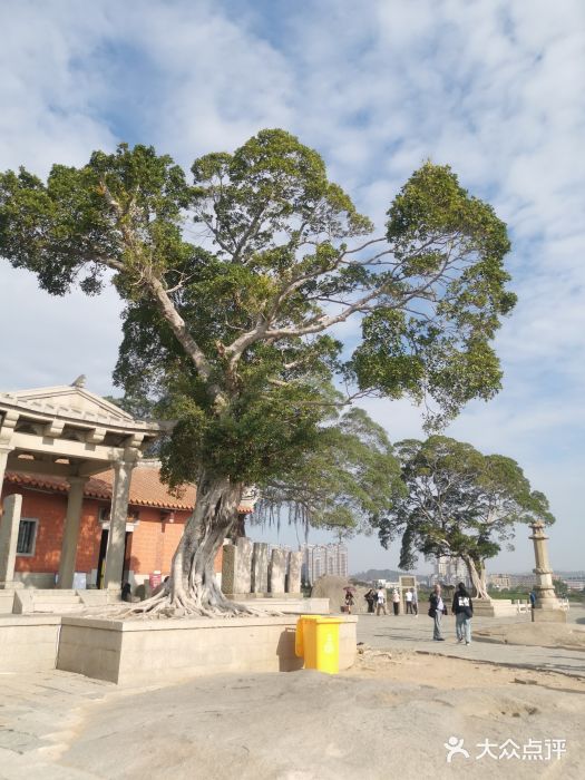 洛阳桥图片