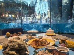 -帝企鹅自助餐厅•儿童岛•真企鹅(长隆企鹅酒店)