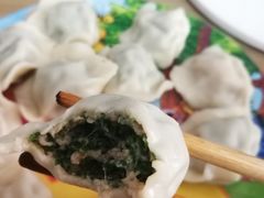 荠菜水饺-庆梅水饺