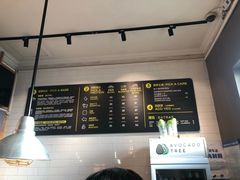 -油梨树AVOCADO TREE(顺义新国展店)