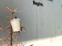 -COTTON CAFE(德信·中外公寓店)