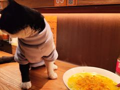 -蟹黄鱼·海派深夜面馆(江湾里店)