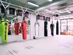 -TFC 纯泰拳馆MuayThai