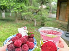 -宝岩生态观光园