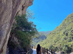 -燕子河大峡谷天坑仙境