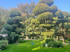 -南京东郊国宾馆