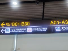 -重庆江北国际机场-T2航站楼