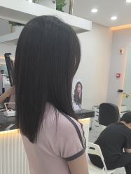 -YESIDO椰岛造型