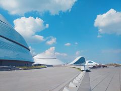 -哈尔滨大剧院
