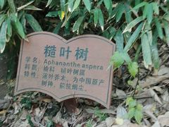 -上海佘山国家森林公园西佘山园