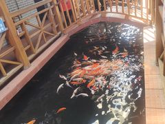 -侠成水上农庄(工业大道店)