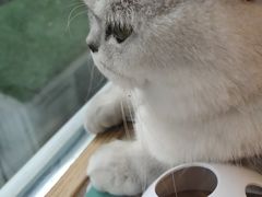 -猫和宫(六道口店)