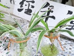 -小洲村