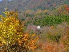 -塔川景区