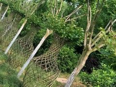 -武汉紫薇都市田园