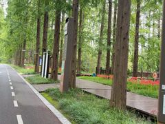 -黄海国家森林公园