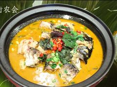 -衢农会·衢州菜·宴请(国际机场店)