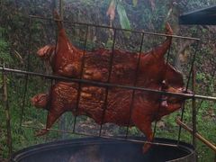 烤山猪-阿里山邹族烤肉团队(山猪亮)