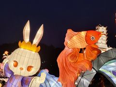 -映月湖公园