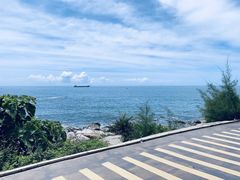 -广东惠东海龟国家级自然保护区