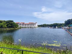 -济州森林小火车生态公园