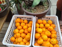 -妙醍醐素食自助餐馆(杭州香积寺店)