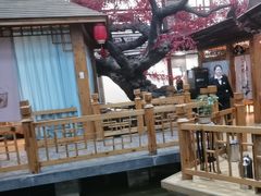 -老山东·山东菜(鲁菜名店)