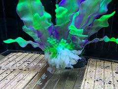 -欢乐海岸海洋奇梦馆