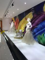 -金夫人婚纱摄影(华南店)