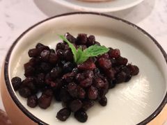 -大榕树下顺德菜(融创茂店)