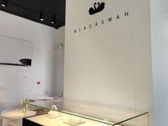 -BLACKSWAN黑天鹅(环球店)