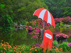 -深圳仙湖植物园
