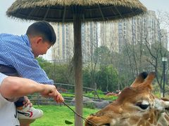 -南昌动物园