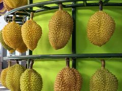 -马来西亚肉骨茶汤·招牌螃蟹·烧鸡·呷喱吧吧(海上世界店)
