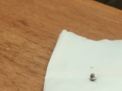 -武圣羊汤(武圣路店)