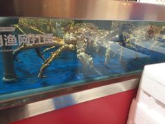 -盒马鲜生(红莲店)