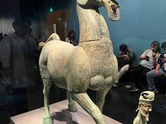 -广西壮族自治区博物馆