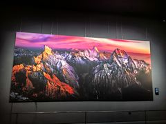 -罗红摄影艺术馆