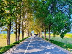 -良渚古城遗址公园