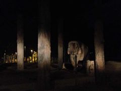 -清迈夜间动物园