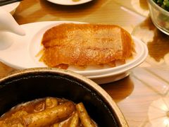 -北京老铺烤鸭(高新店)