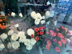 -上海微创医疗器械（集团）有限公司