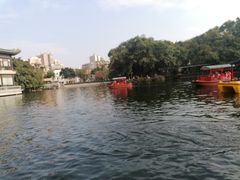 -荔湾湖公园