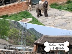 -北京山里寒舍度假酒店