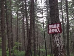 -芦芽山旅游度假区