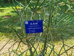 -中国科学院西双版纳热带植物园